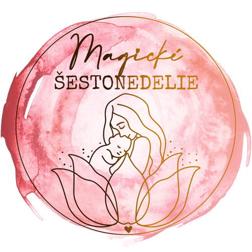 logo-ms-web2